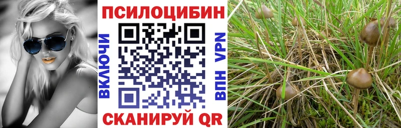 Псилоцибиновые грибы прущие грибы  Камызяк 